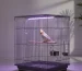 lamp-uv-parande